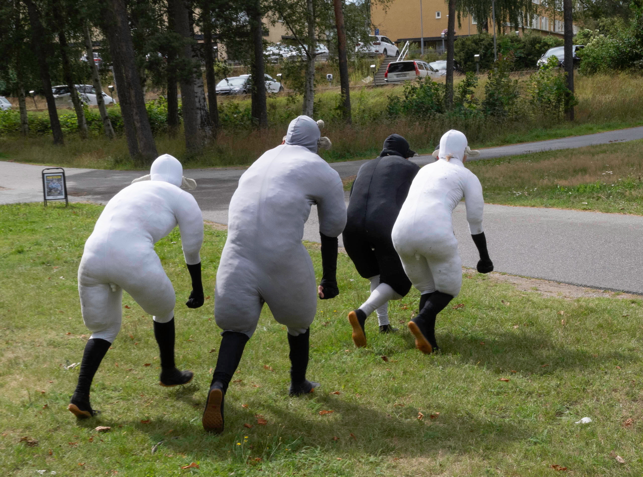 FÅREN (Les moutons)