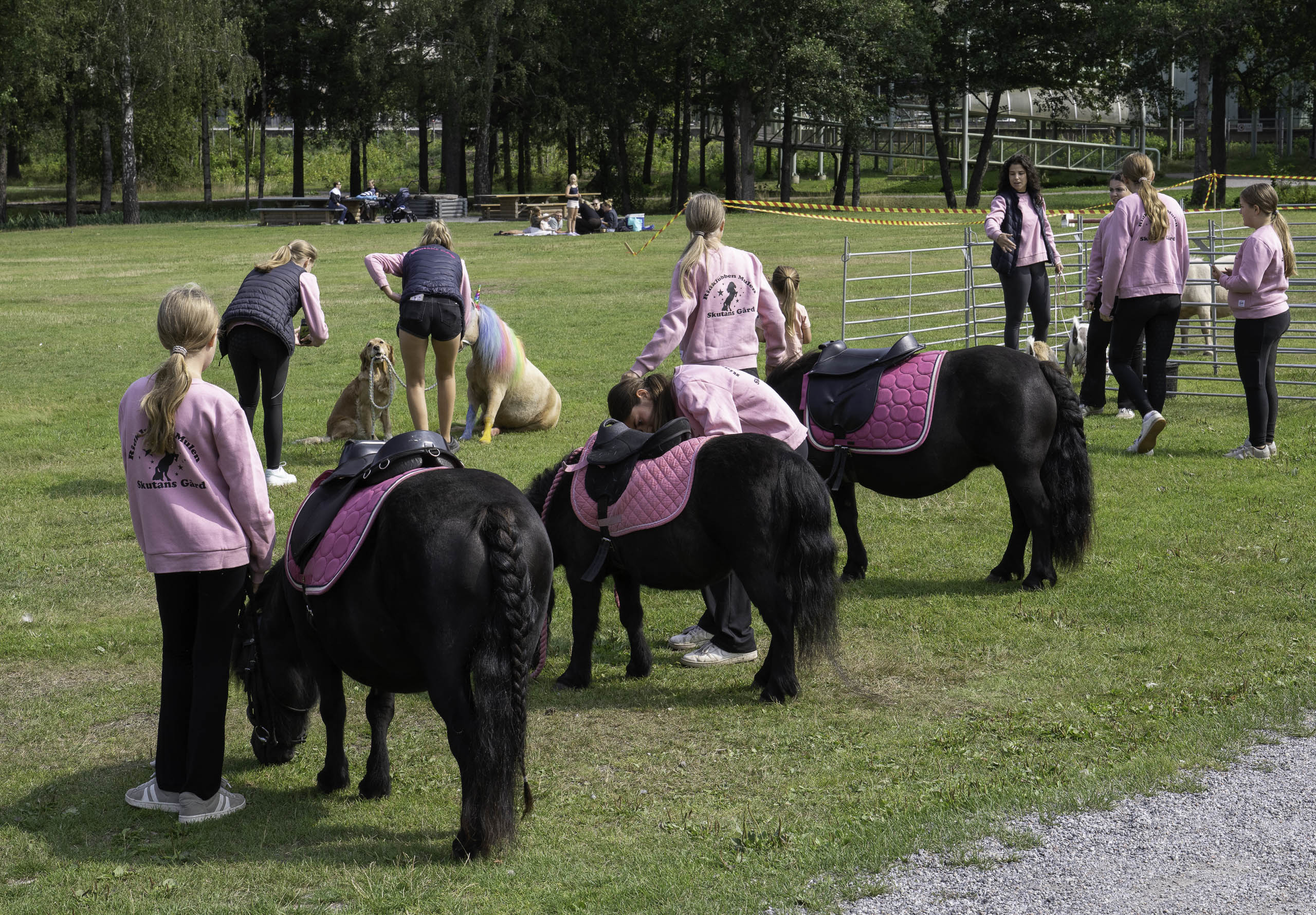 Sommar på Rudan 7-10 augusti 2025